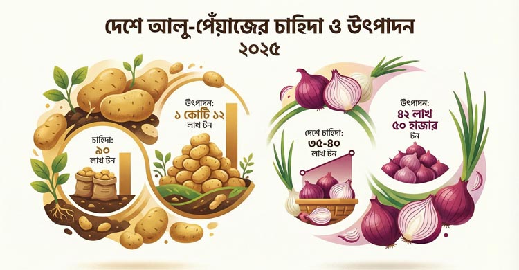 আলু-পেঁয়াজের উৎপাদন