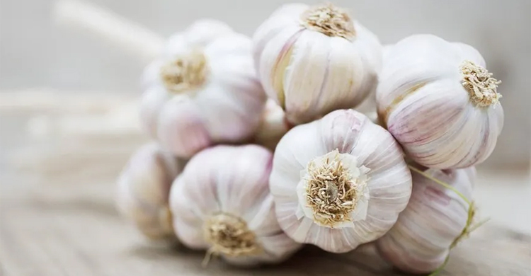 Chinese garlic is a national security risk, says US senator