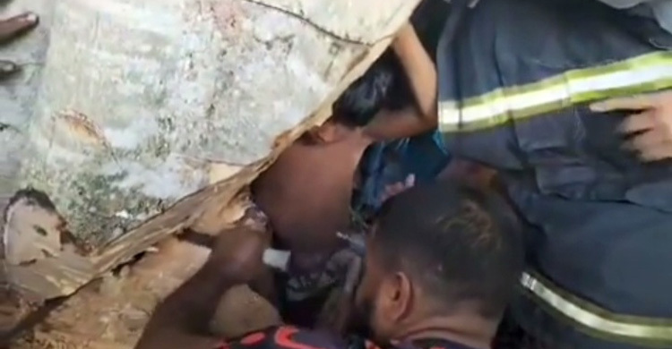 বটগাছের কুঠুরিতে আটকে গেলো শিশুর হাত, ২ ঘণ্টা পর উদ্ধার