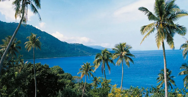 শতাধিক বাংলাদেশির কাছে যেভাবে নরকে পরিণত হয় স্বর্গভূমি ভানুয়াতু