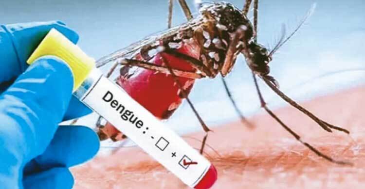 পশ্চিমবঙ্গে নতুন করে চিন্তা বাড়াচ্ছে ডেঙ্গু