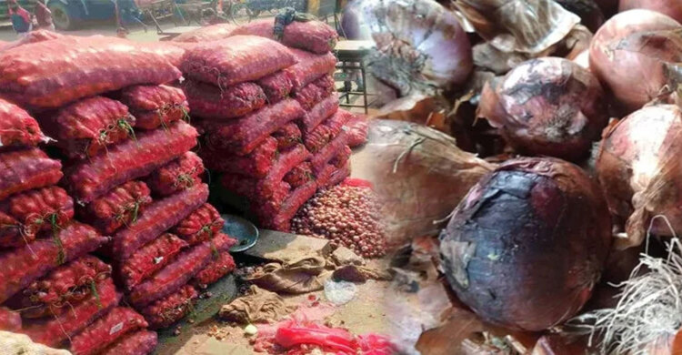 বাংলাদেশে রপ্তানি বন্ধ, সীমান্তে পচছে ৩০ হাজার টন ভারতীয় পেঁয়াজ