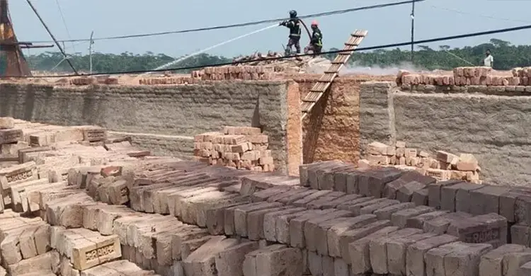 পিরোজপুরে দুই ইটভাটাকে ৩ লাখ টাকা জরিমানা