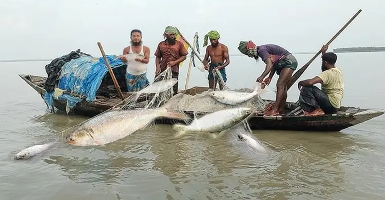 নিষেধাজ্ঞা শেষে ইলিশ শিকারে জেলেরা, ফিরেছে কর্মচাঞ্চল্য
