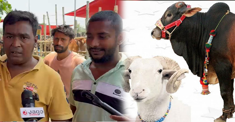 ‘পোলার শ্বশুরবাড়ি রান না দিলে, শ্বশুর-শাশুড়ির মন রক্ষা করা যায় না’