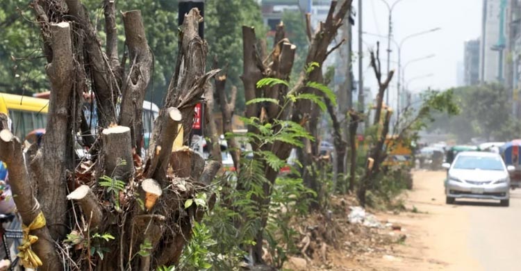 ঢাকা সবুজ বিপ্লব