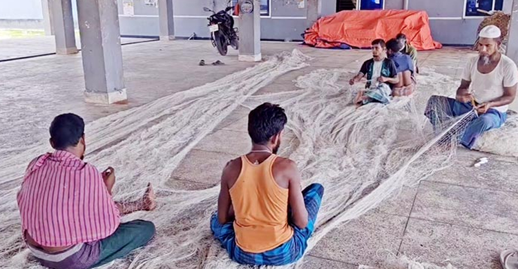 কাল উঠছে নিষেধাজ্ঞা, নতুন আশায় পিরোজপুরের জেলেরা