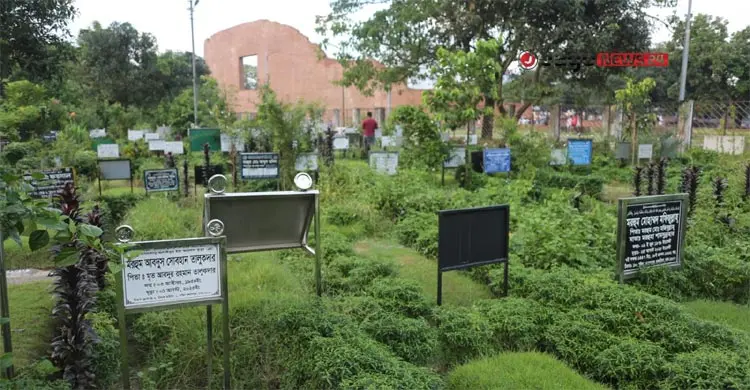 মিরপুর শহীদ বুদ্ধিজীবী কবরস্থান/ছবি: বিপ্লব দিক্ষীৎ
