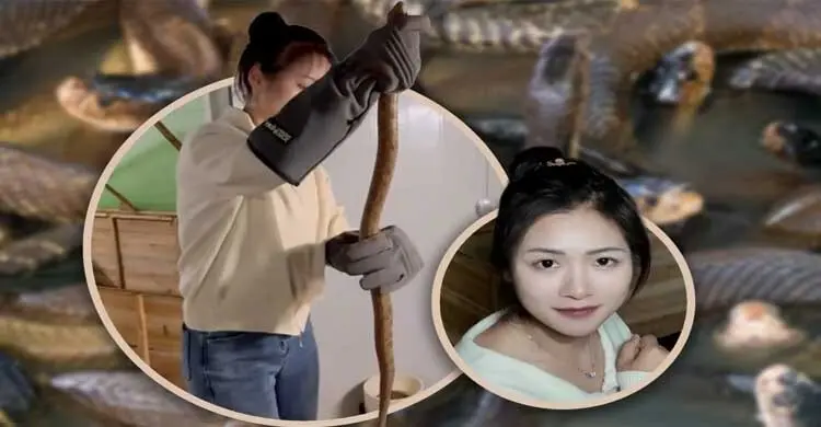 গ্রামে ফিরে সাপ পালন, বছরে আয় প্রায় ২ কোটি টাকা