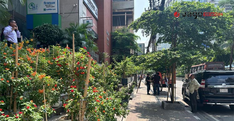 ঢাকায় সবুজ বিপ্লব
