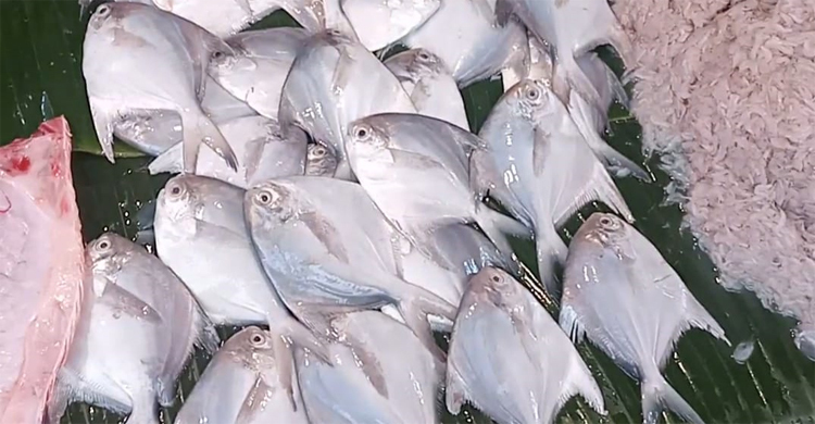 সবজির দাম আকাশছোঁয়া, মধ্যবিত্তের নাগালের বাইরে মাছ, মাংস, ডিম