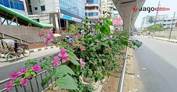 দক্ষিণ সিটি মরুভূমি