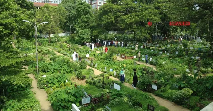 বনানী কবরস্থান/ছবি: বিপ্লব দিক্ষীৎ