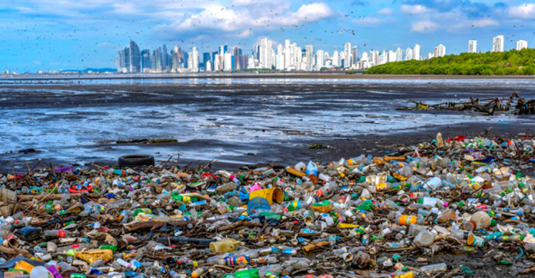 Coming years 'critical' to slash plastic pollution: UN