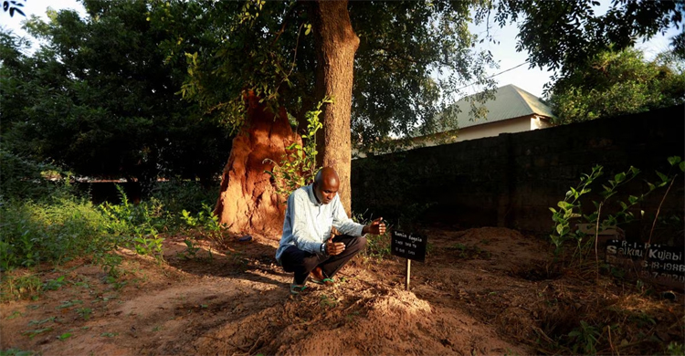 India considers policy change after cough syrup deaths