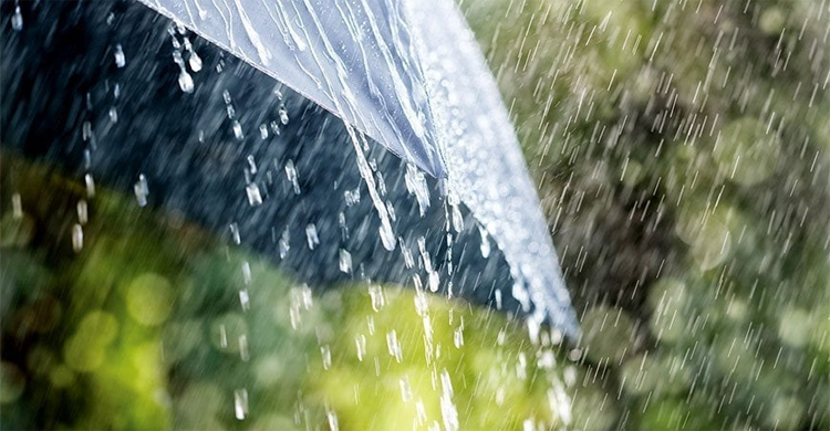 Light to moderate rain with gusty wind likely over country