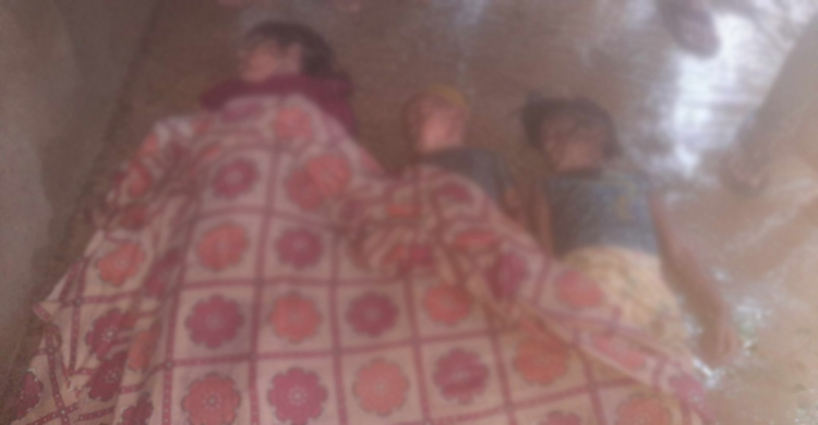 Three siblings drown in Sunamganj haor