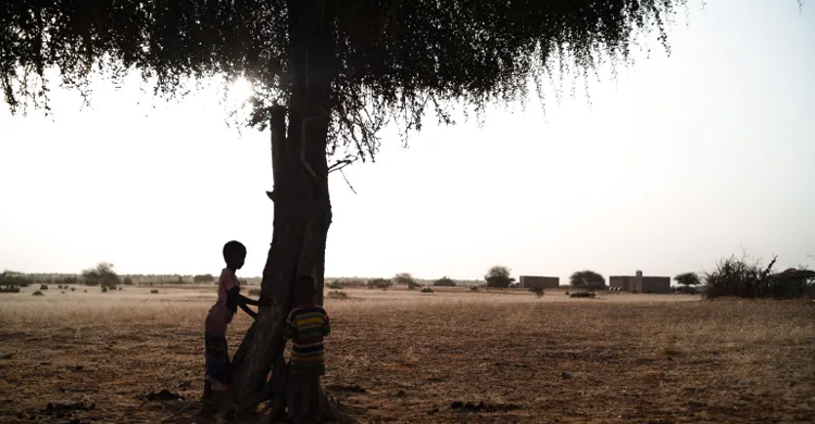 Armed groups step up murders, rapes in Mali: HRW