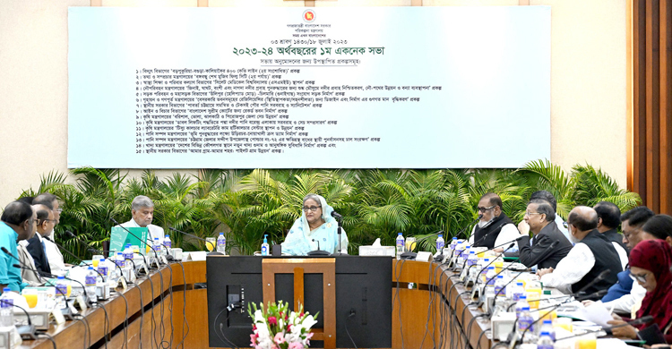 ECNEC approves Tk 800cr 'Amar Gram-Amar Shohor: Pilot Village Development' project