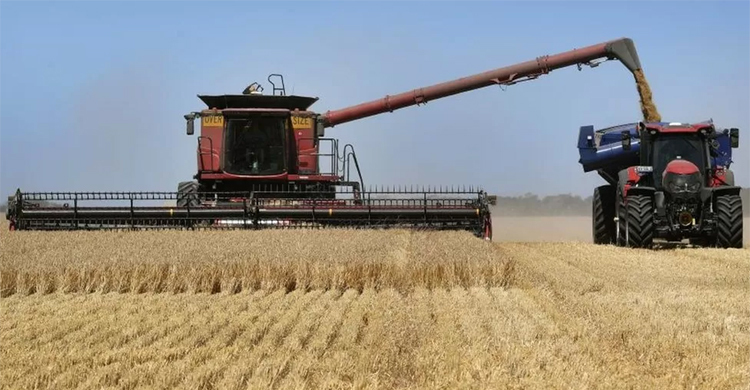 China drops Australia barley tariffs after three years