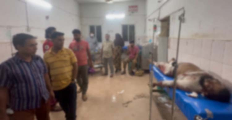 Seven killed as truck rams microbus in Narsingdi