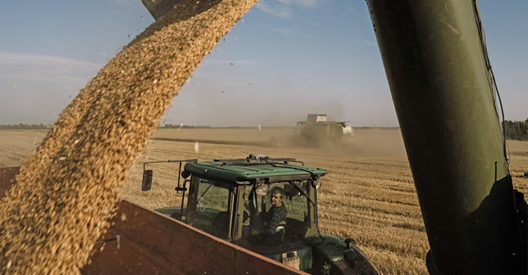 Erdogan urges G20 leaders to meet Russia's demands on grain deal