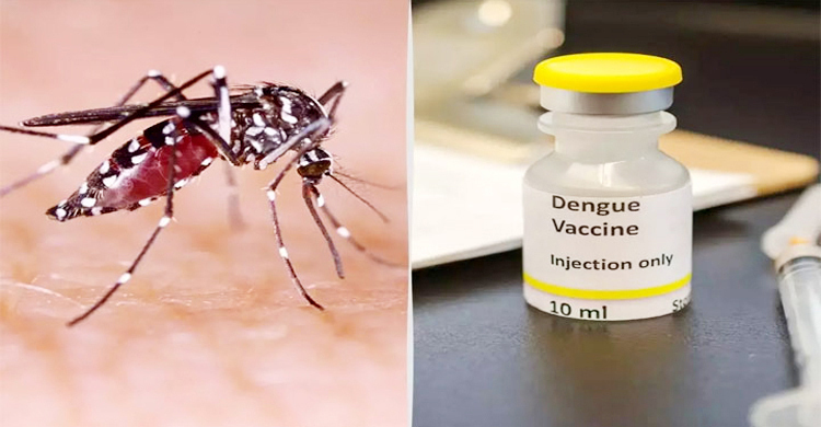 Successful trial of dengue vaccine conducted in Bangladesh