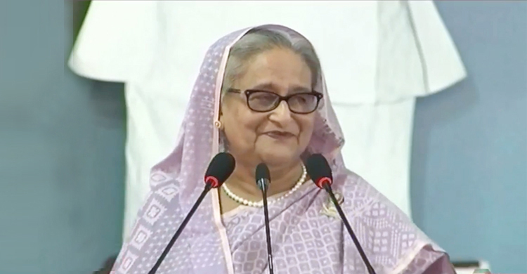 Portray globally BNP's attack on journalists Oct 28: PM