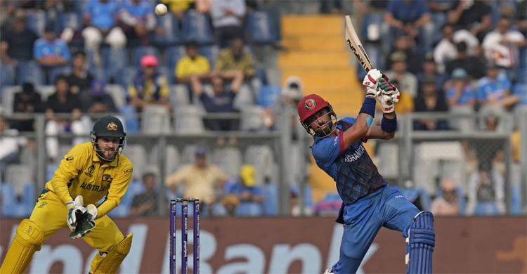 Zadran ton, Rashid cameo fires Afghanistan to 291