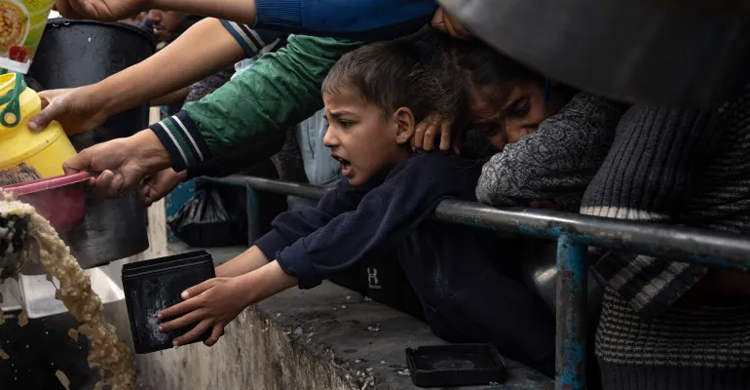 Entire Gaza population facing hunger crisis, famine risk: UN-backed report