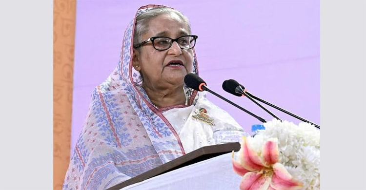 PM for digital publication, translation to take Bangla literature to global stage