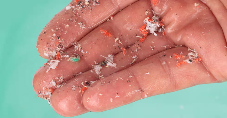 Microscopic plastics could raise risk of stroke, heart attack