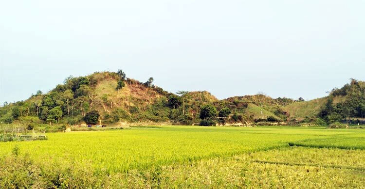 Seven abducted in Teknaf in 24 hours, Tk 5 lakh ransom demanded