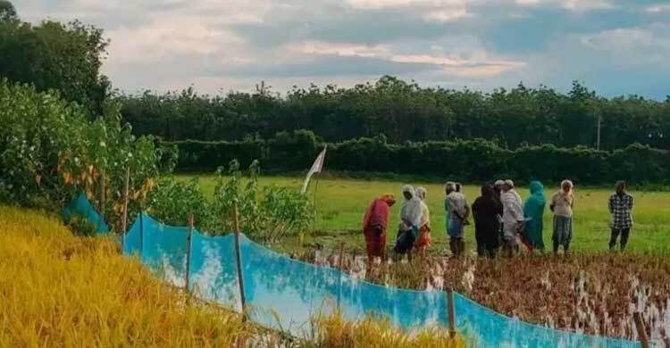 শত শত মুসলিমকে অবৈধভাবে বাংলাদেশে পাঠাচ্ছে ভারত