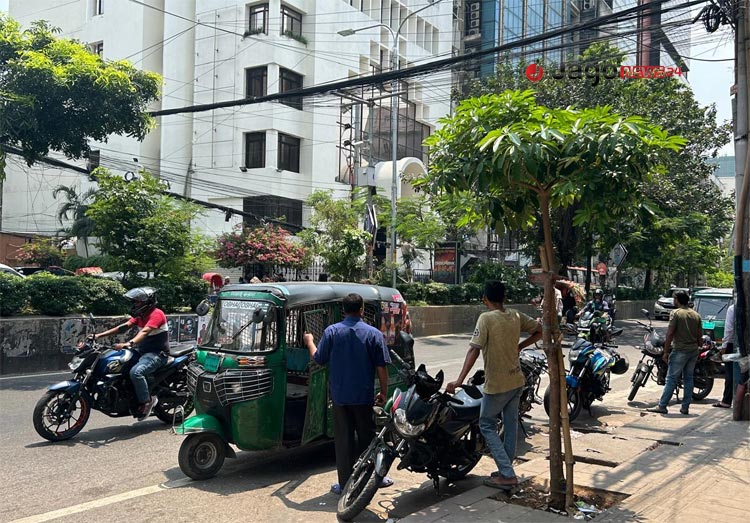ঢাকার সবুজ বিপ্লব