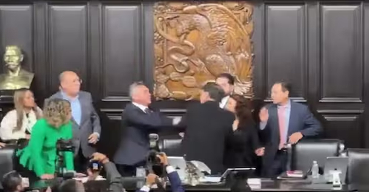 মেক্সিকোর সিনেটে হাতাহাতি-মারামারি