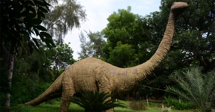 ভারতে জুরাসিক যুগের কঙ্কাল উদ্ধার, বিবর্তনের নতুন তথ্য মিলবে?