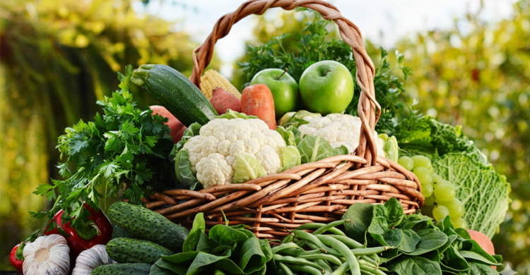 শীতকালীন যে সবজি ওজন কমাতে সাহায্য করে