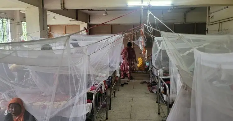ময়মনসিংহে বাড়ছে ডেঙ্গুর দাপট, ১৩ দিনে প্রাণ গেল ৬ জনের