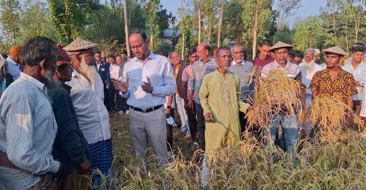 বিএনপি ক্ষমতায় এলে কৃষকদের ‘ফারমার্স কার্ড’ দেওয়া হবে