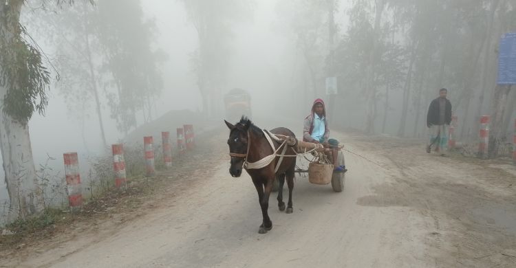 কুড়িগ্রামে বাড়ছে শীতের দাপট, ১২ ডিগ্রিতে তাপমাত্রা