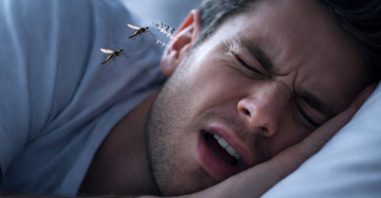 মশা কেন কানের কাছে এসেই গুনগুন করে?