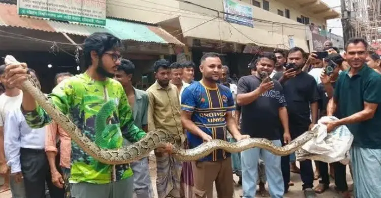 চবি ক্যাম্পাস থেকে ১৫ ফুটের অজগর উদ্ধার