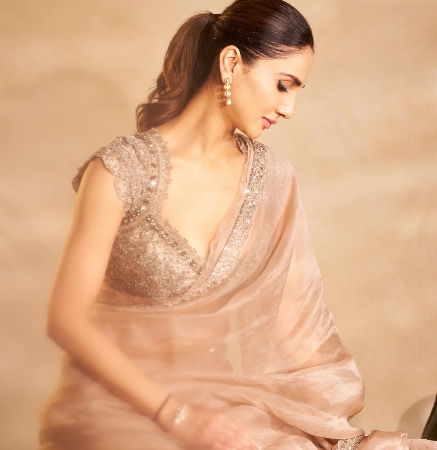 বলিউডের গ্ল্যামার দুনিয়ায় বাণী কাপুর এমন এক নাম