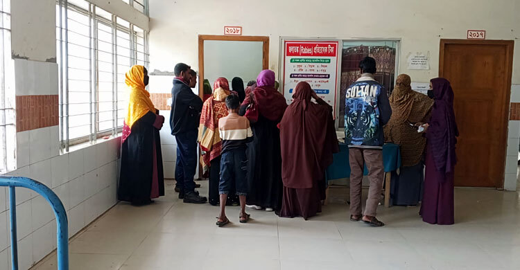 চুয়াডাঙ্গায় জলাতঙ্ক ভ্যাকসিনের সংকট, মৃত্যু ঝুঁকিতে রোগী