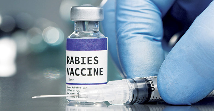 হাসপাতালে মিলছে না জলাতঙ্কের টিকা, ফিরে যাচ্ছেন রোগীরা