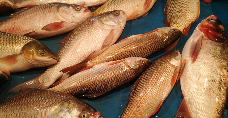 ময়মনসিংহের চড়া সবজির বাজার, বেড়েছে ৩০-৪০ টাকা