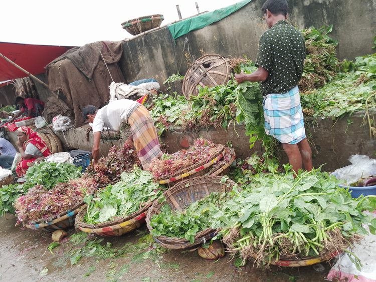 শ্যামবাজারের সবজি অলিগলিতে গেলেই ১০০ টাকা