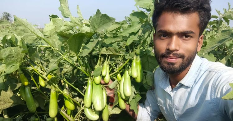 আগাম সবজি চাষে সফল জিসান, চলতি মৌসুমেই বিক্রি সাড়ে ৩১ লাখ