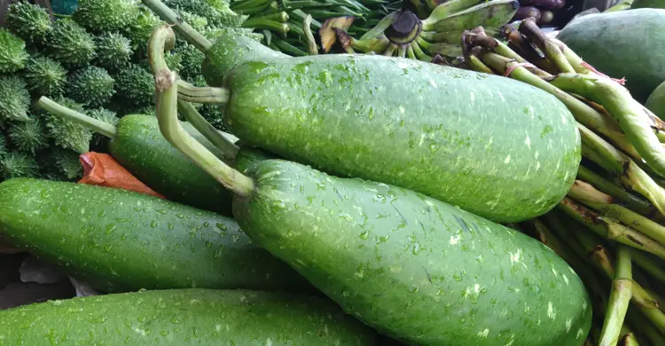 বেড়েছে ডিমের দাম, কমেছে মুরগির